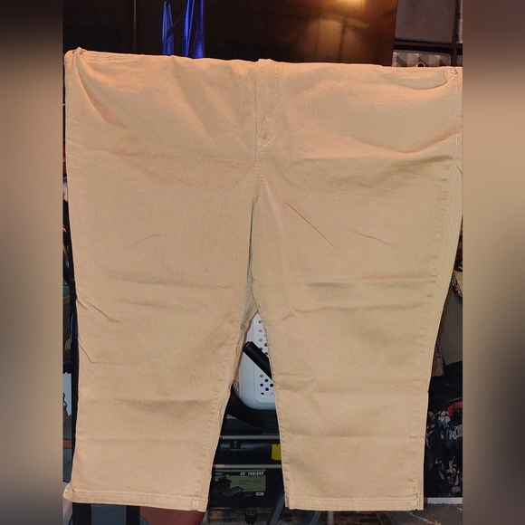 Lane Bryant Mid Rise Pedal Pants - Picture 2 of 6